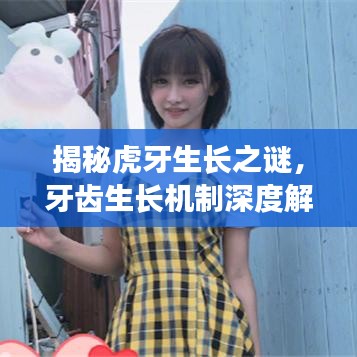 揭秘虎牙生长之谜，牙齿生长机制深度解析