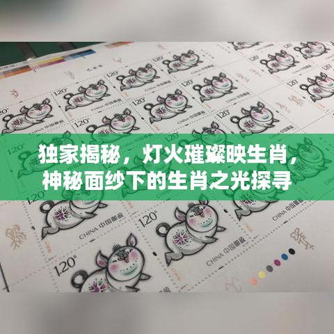 独家揭秘，灯火璀璨映生肖，神秘面纱下的生肖之光探寻