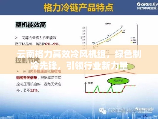云南格力高效冷风机组，绿色制冷先锋，引领行业新力量