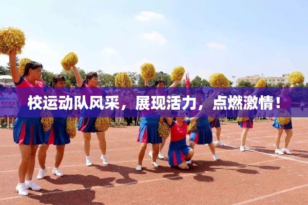 校运动队风采，展现活力，点燃激情！