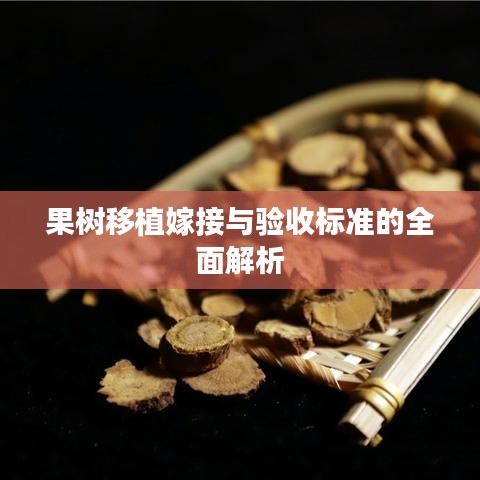 果树移植嫁接与验收标准的全面解析