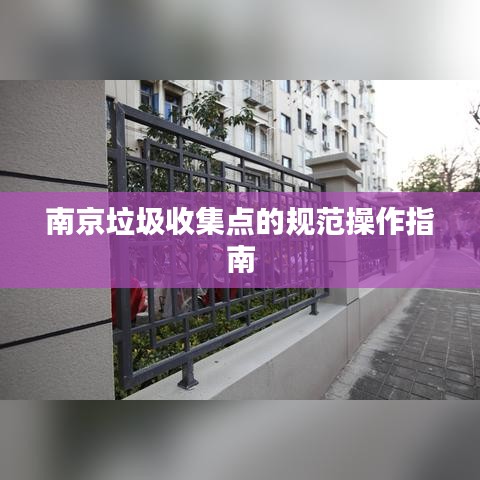 南京垃圾收集点的规范操作指南