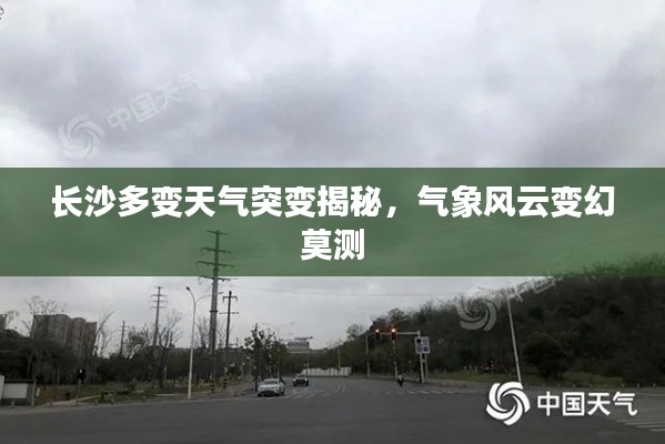 雅人清致