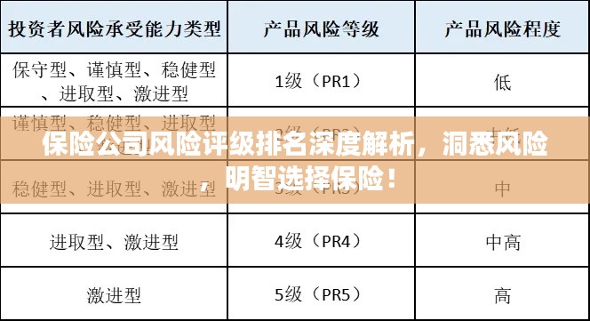 保险公司风险评级排名深度解析，洞悉风险，明智选择保险！