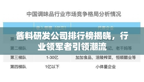 酱料研发公司排行榜揭晓，行业领军者引领潮流