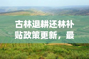古林退耕还林补贴政策更新，最新动态解读
