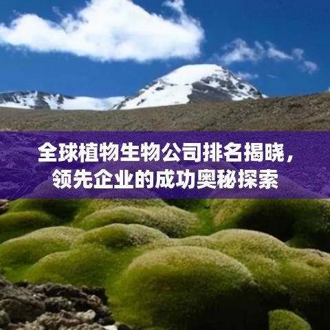 全球植物生物公司排名揭晓，领先企业的成功奥秘探索
