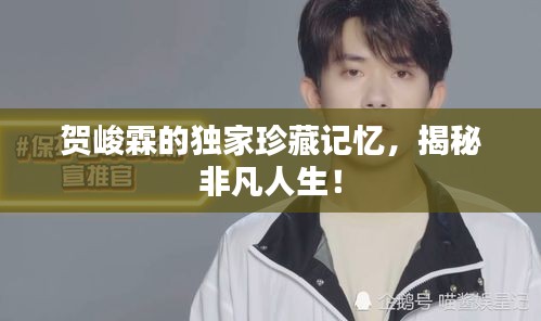 贺峻霖的独家珍藏记忆，揭秘非凡人生！