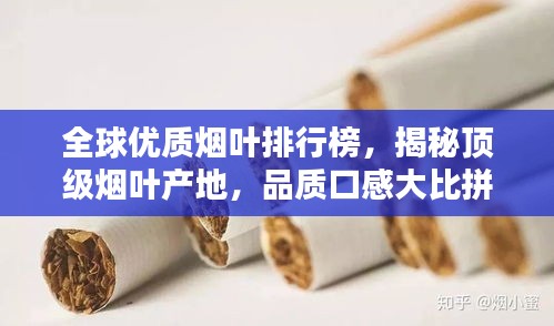 联系我们 第10页