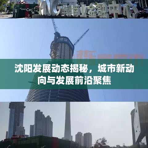 沈阳发展动态揭秘，城市新动向与发展前沿聚焦