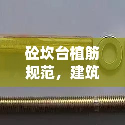 砼坎台植筋规范，建筑安全的生命线