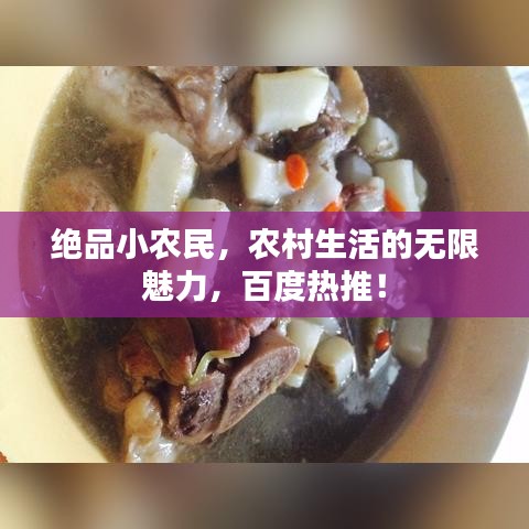 绝品小农民，农村生活的无限魅力，百度热推！