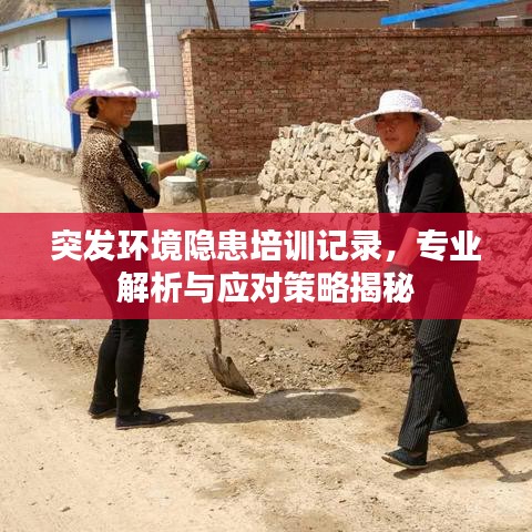 突发环境隐患培训记录，专业解析与应对策略揭秘