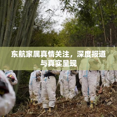 东航家属真情关注，深度报道与真实呈现