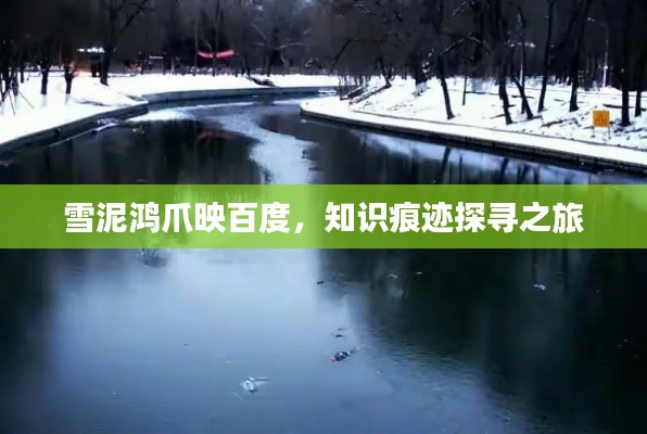 雪泥鸿爪映百度，知识痕迹探寻之旅
