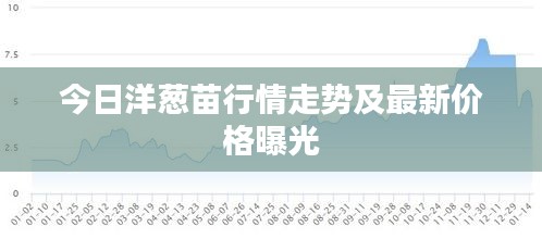 今日洋葱苗行情走势及最新价格曝光