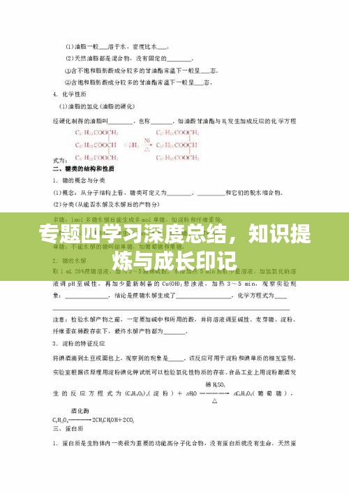 专题四学习深度总结，知识提炼与成长印记