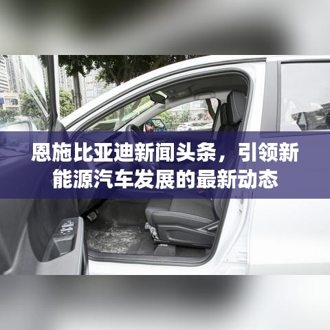 恩施比亚迪新闻头条，引领新能源汽车发展的最新动态