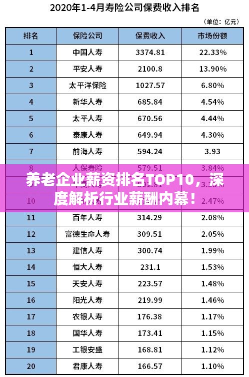 养老企业薪资排名TOP10，深度解析行业薪酬内幕！