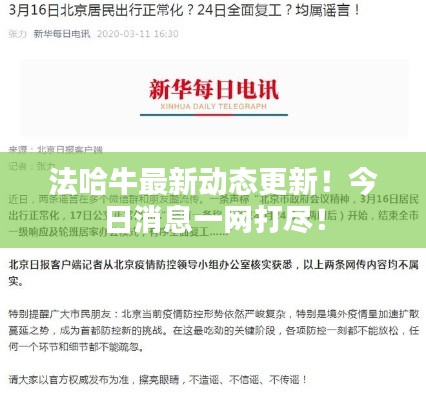法哈牛最新动态更新！今日消息一网打尽！
