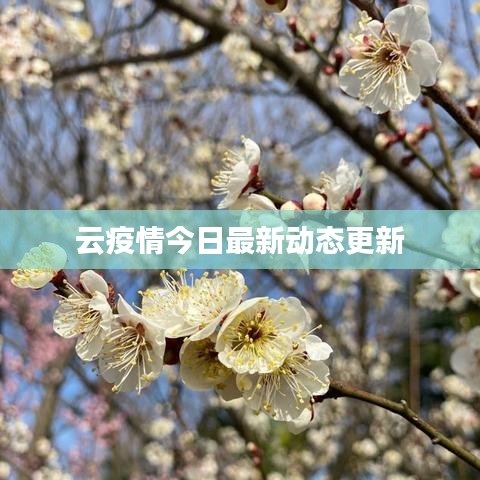 云疫情今日最新动态更新