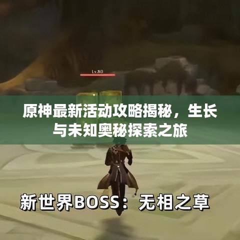 原神最新活动攻略揭秘，生长与未知奥秘探索之旅
