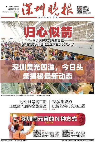 深圳灵光四溢，今日头条揭秘最新动态