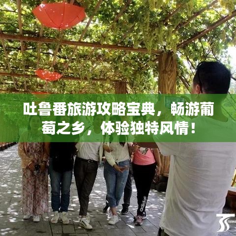 吐鲁番旅游攻略宝典，畅游葡萄之乡，体验独特风情！