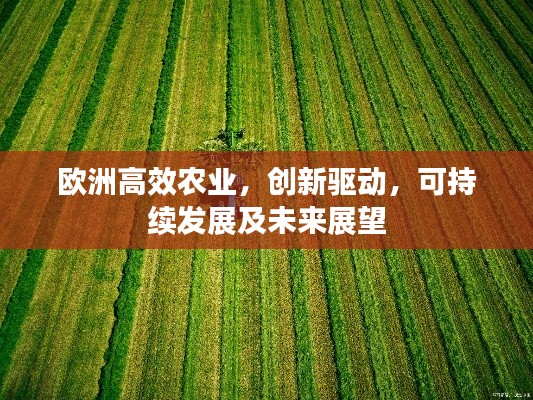 欧洲高效农业，创新驱动，可持续发展及未来展望