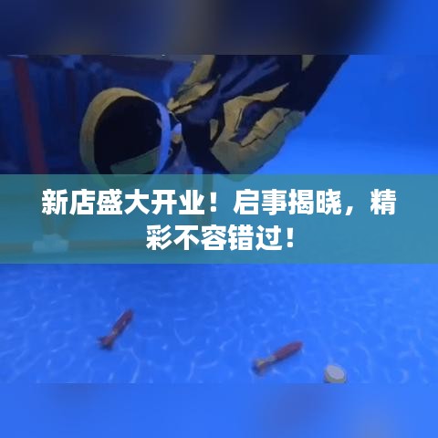 新店盛大开业！启事揭晓，精彩不容错过！