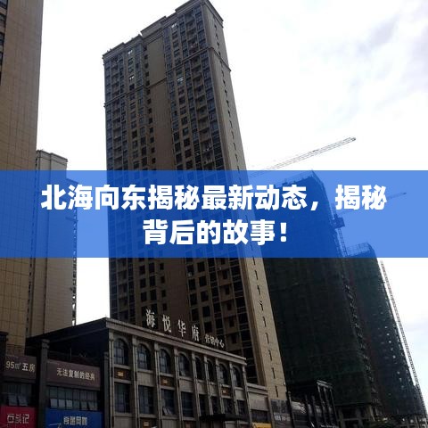 交货现场 第8页