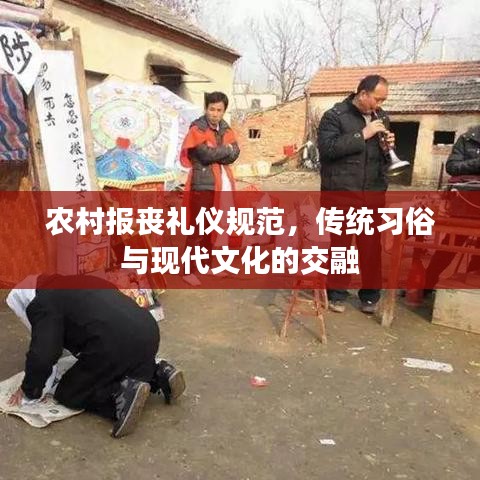 鸟骇鼠窜