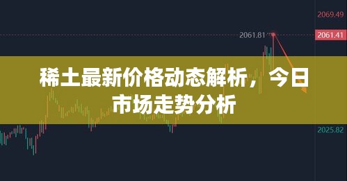 稀土最新价格动态解析，今日市场走势分析