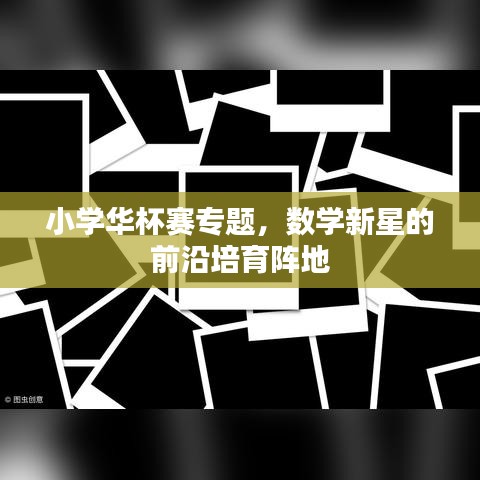 小学华杯赛专题，数学新星的前沿培育阵地