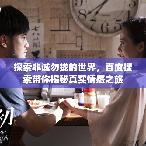 探索非诚勿拢的世界，百度搜索带你揭秘真实情感之旅