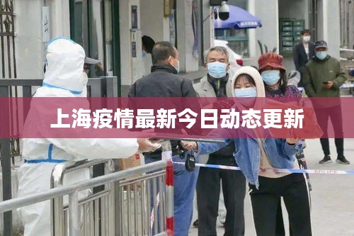 上海疫情最新今日动态更新