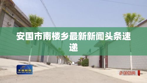安国市南楼乡最新新闻头条速递