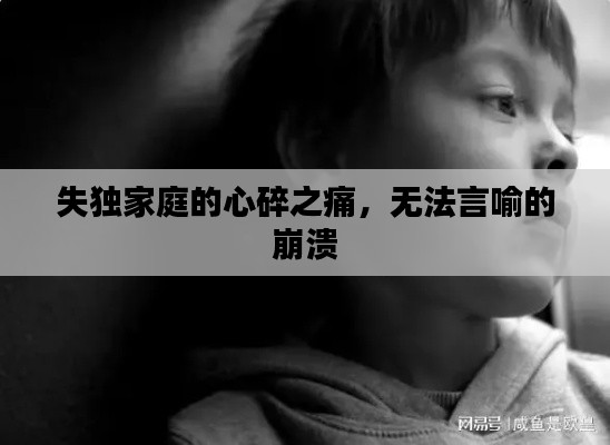 失独家庭的心碎之痛，无法言喻的崩溃