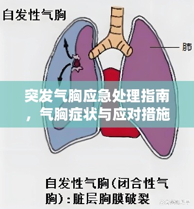 眼空四海