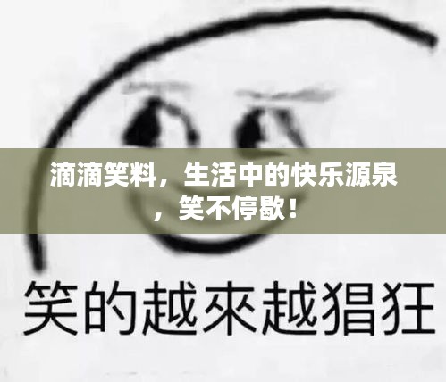 滴滴笑料，生活中的快乐源泉，笑不停歇！