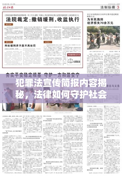 犯罪法宣传简报内容揭秘，法律如何守护社会安宁