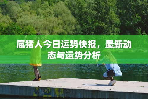 属猪人今日运势快报，最新动态与运势分析