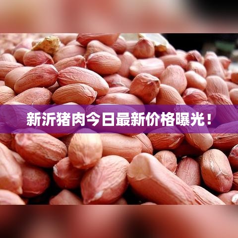 祖道供张