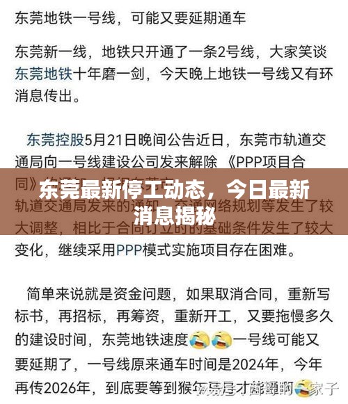 东莞最新停工动态，今日最新消息揭秘