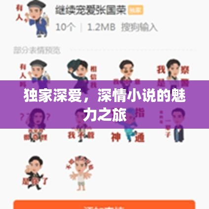 独家深爱，深情小说的魅力之旅