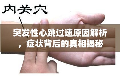 突发性心跳过速原因解析，症状背后的真相揭秘