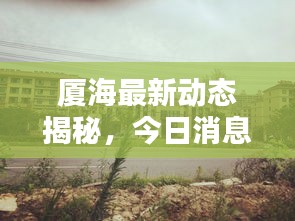 厦海最新动态揭秘，今日消息一网打尽