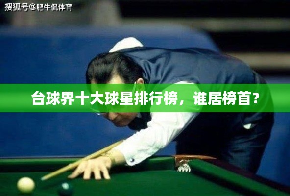 台球界十大球星排行榜，谁居榜首？