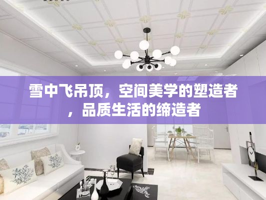 雪中飞吊顶，空间美学的塑造者，品质生活的缔造者