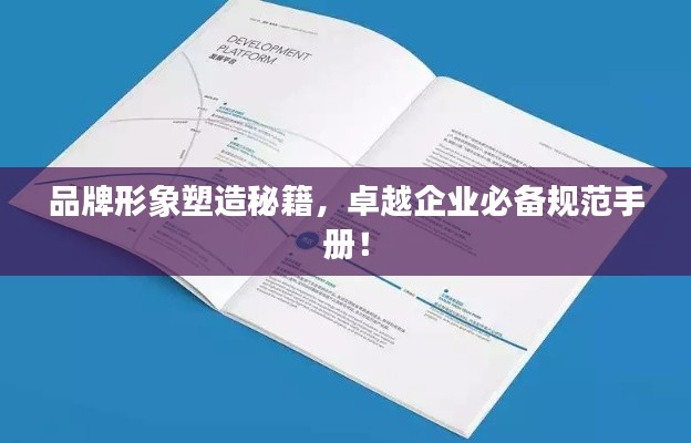 品牌形象塑造秘籍，卓越企业必备规范手册！